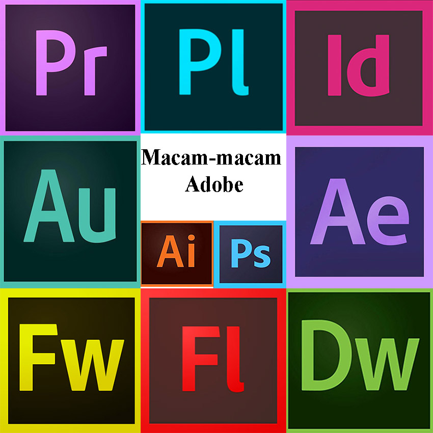 Macam-macam Adobe