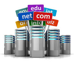 Apa itu Domain  & Hosting ?